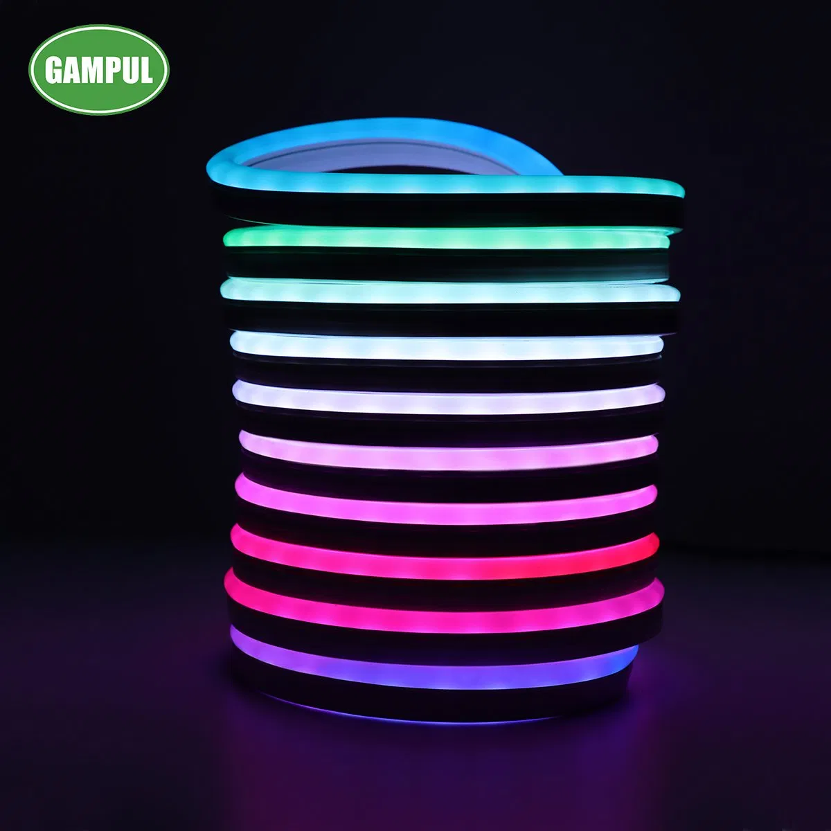 IP65 60LED/M SMD5050 Flexible LED Christmas Light LED RGB Chasing Neon Lighting