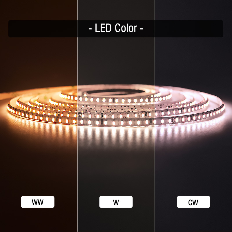 DC12V/24V SMD2110 240LEDs/M Dual CCT Flex Indoor Decoration LED Strip Lighting