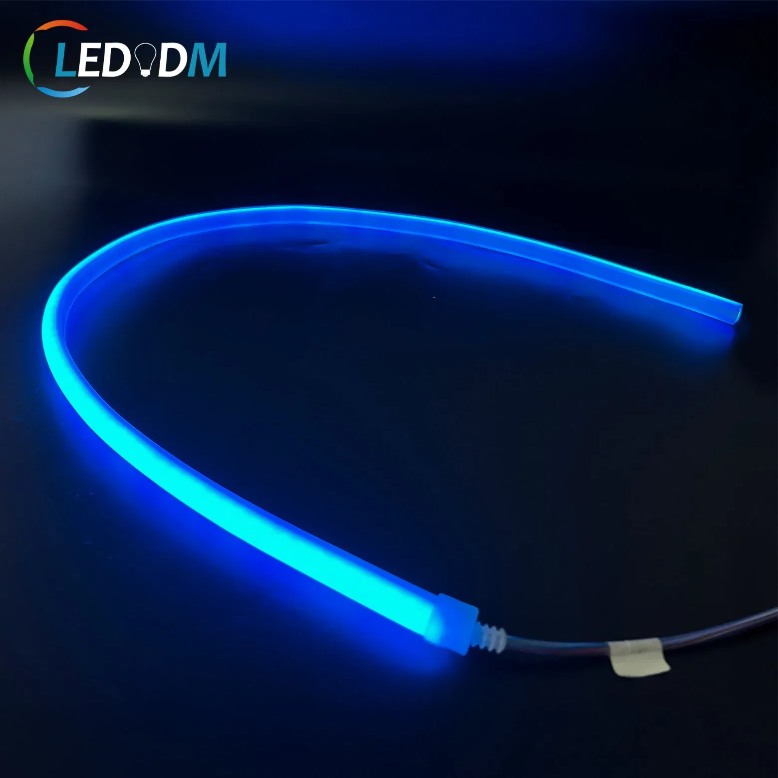 LED Neon Light Silicone 12V Christmas Black LED Chasing Flex RGB Blue Letter Green Neon LED Strip Lights with ETL CE Rhos