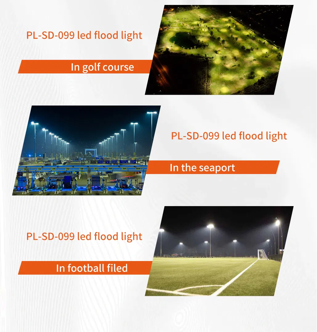 LED Flood Light 12