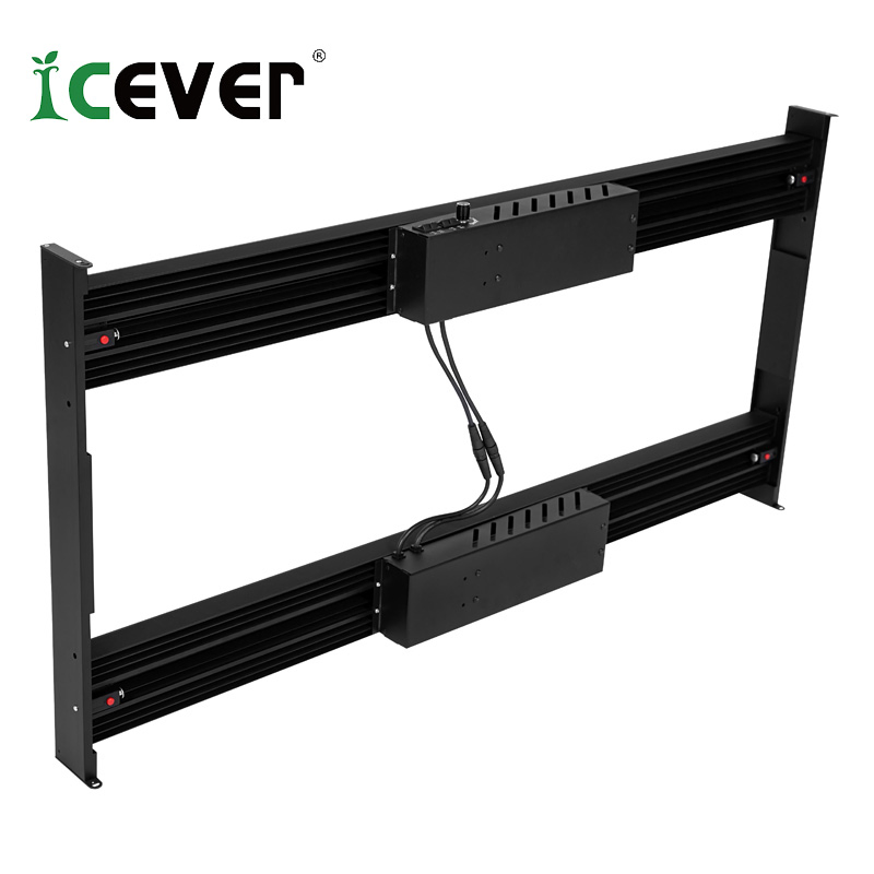 UV Single Channel Mmj QS Bar Type 1000 Watt Most Efficient LED Horticulture Lighting Grow Lights for Booster Mmj with Top Quantity (CE)