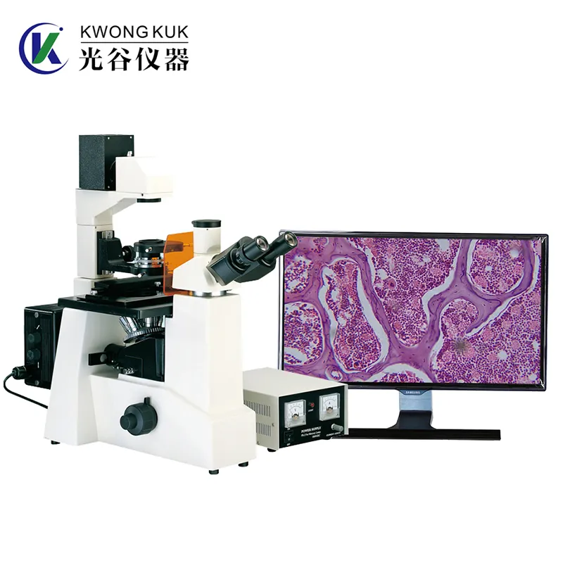 Laboratory Microscope Detail