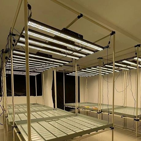 Full-Cycle Plant LED QS Suppliers UVB Growing Herbs with Horticulture Lighting Grow Lights UVB Small LED with Evo (CE)