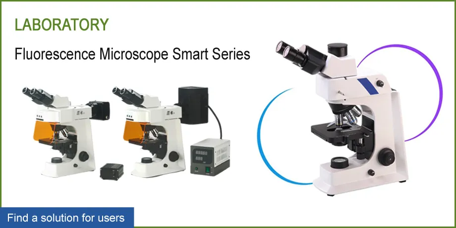 Fluorescence Microscope
