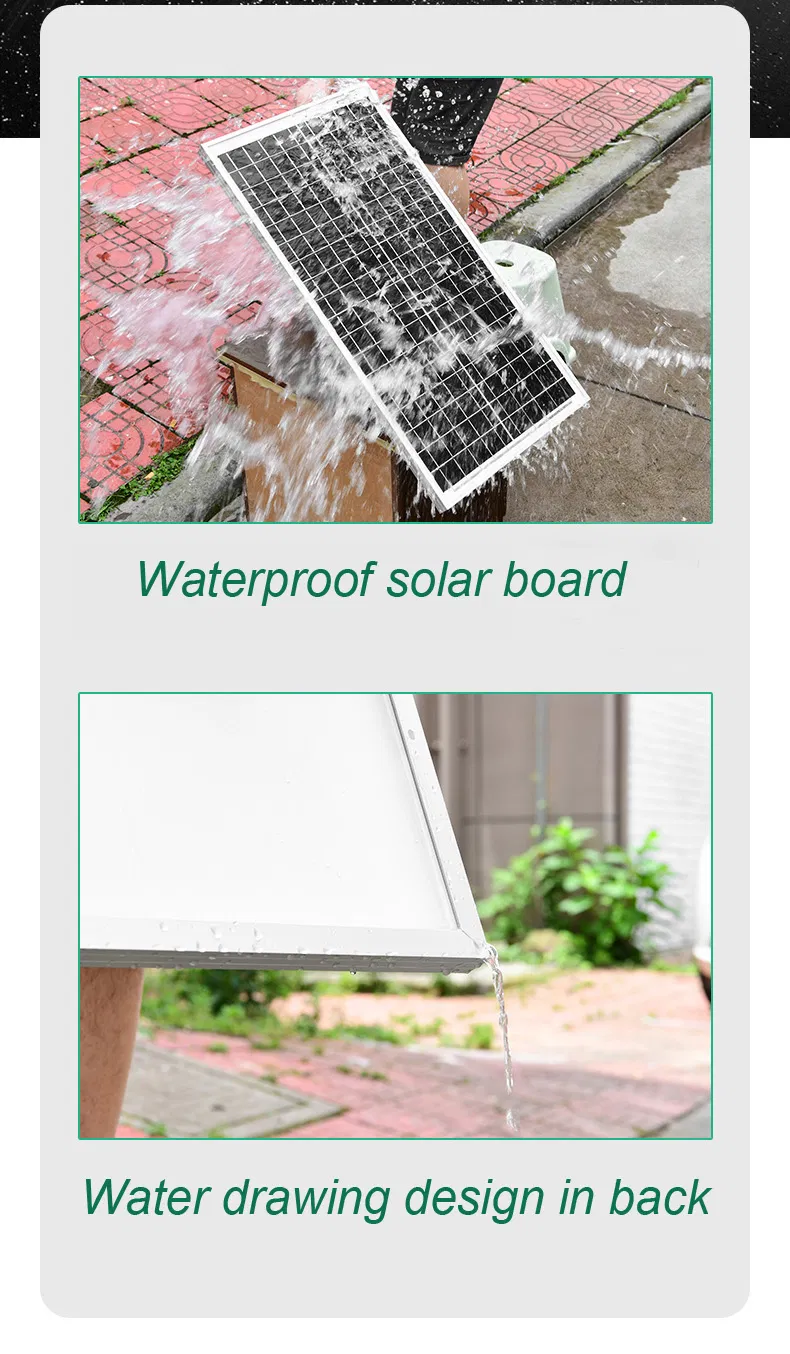 Solar Insect Killing Light Full View