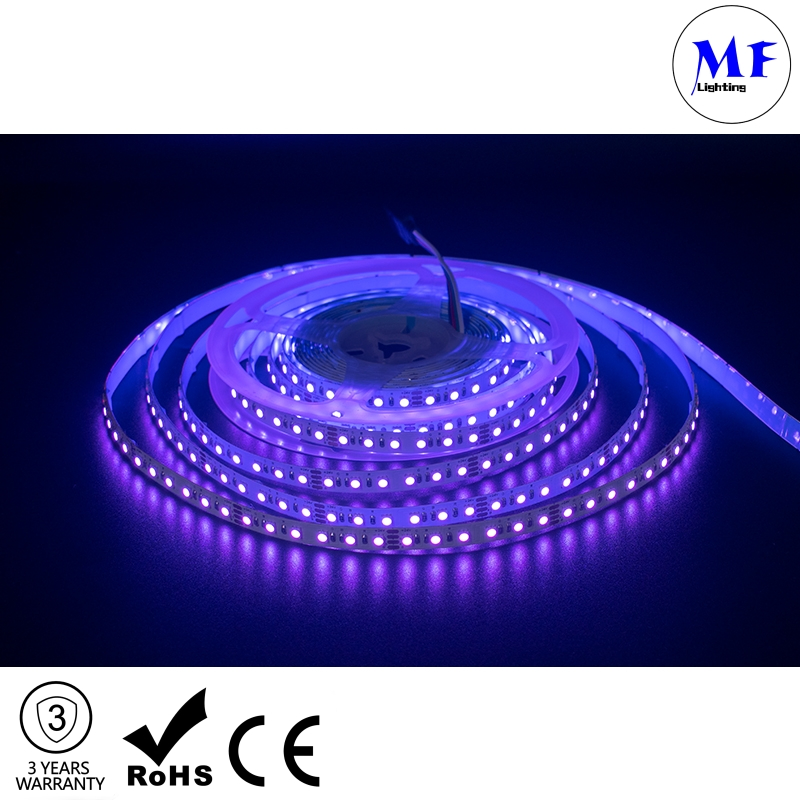 Dongguan Low Price Single/RGB Connection 5 Meters/Reel 60 LEDs/M 12/24V LED Strip Light