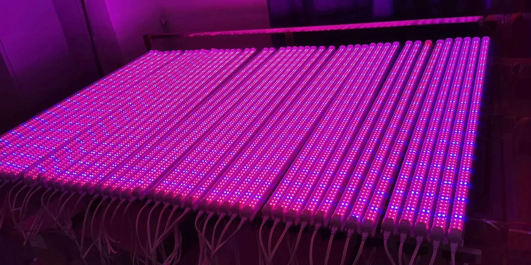 LED Grow Light Overview