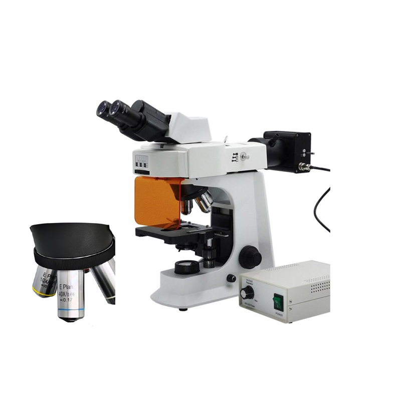 Biological Binocular Fluorescence Microscope with 5W LED Lamp Fluorescent Illumnation Unit