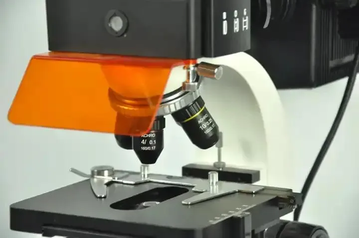 Microscope Observation View