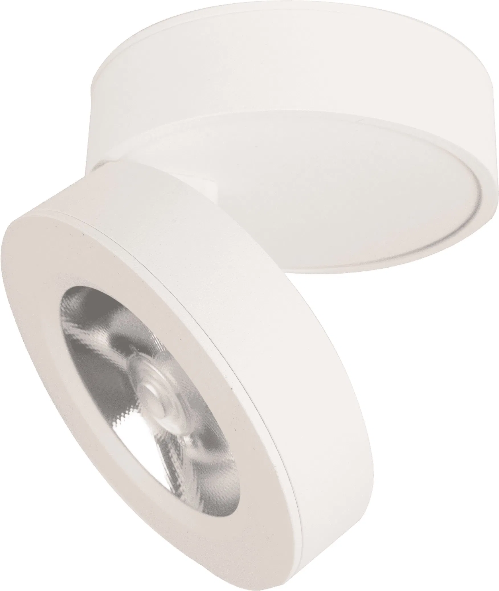 Contemporary 12W Surface-Mount Lighting for Stylish Retail Spaces