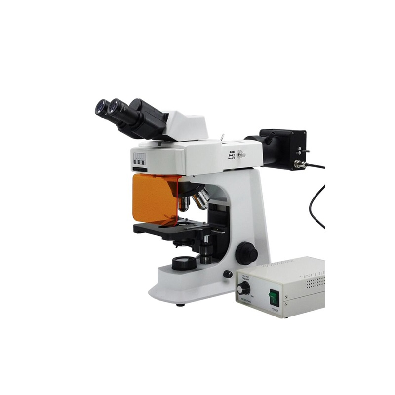 Biological Binocular Fluorescence Microscope with 5W LED Lamp Fluorescent Illumnation Unit