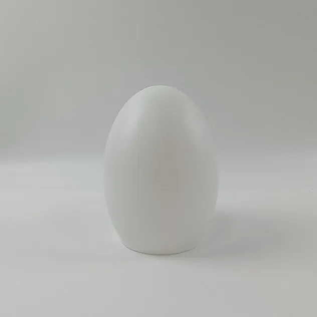 Egg Light View 2