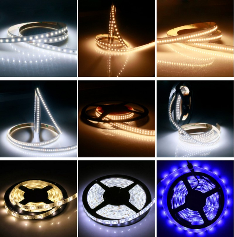 Festival LED Neon Lighting for Decoration Lamp