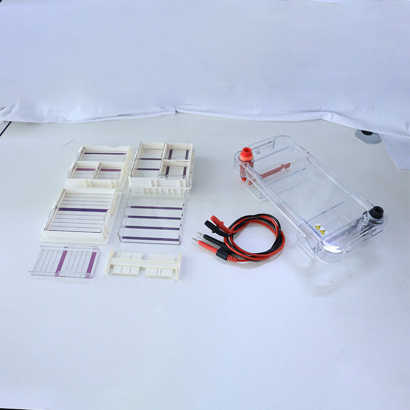 Biobase Fully Automatic Chemiluminescence Imaging System Auto Gel Imaging System for Lab