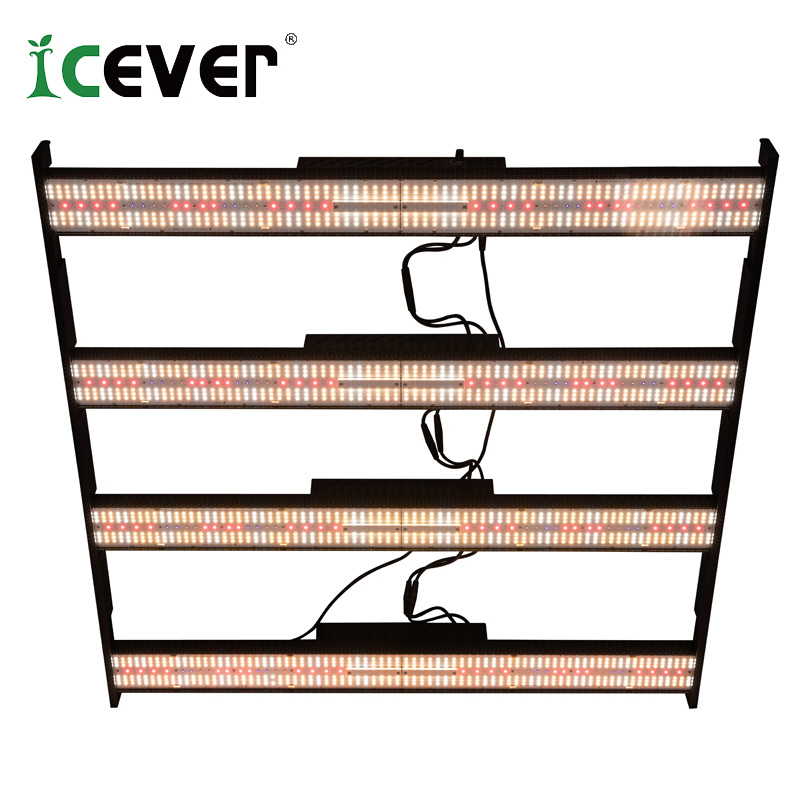 UV Single Channel Mmj QS Bar Type 1000 Watt Most Efficient LED Horticulture Lighting Grow Lights for Booster Mmj with Top Quantity (CE)