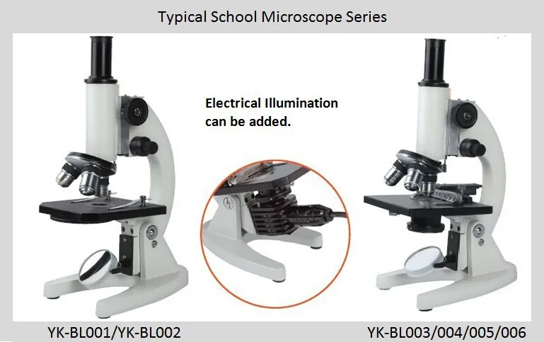 Microscope Detail 1