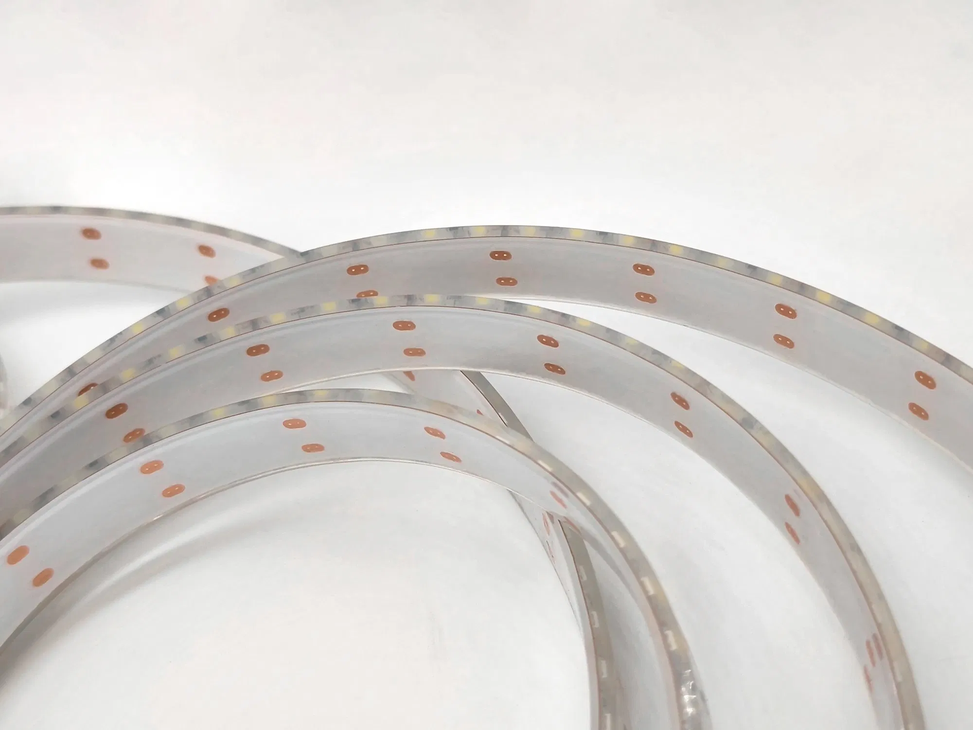 Dongguan Low Price Single/RGB Connection 5 Meters/Reel 60 LEDs/M 12/24V LED Strip Light