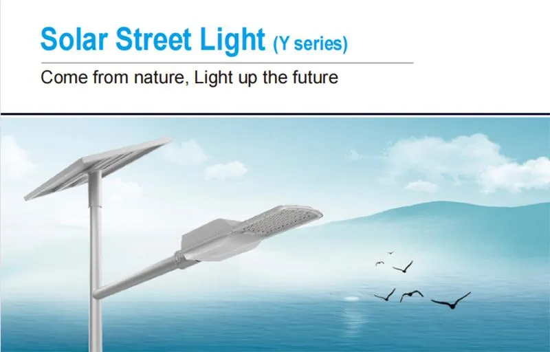 Solar Street Light Main View