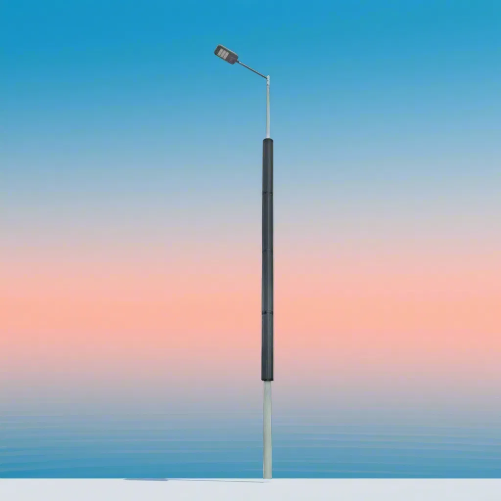 60W 80W High Power Long Lifespan Anti Dust Solar Pole Street Light with Vertical Solar Tube