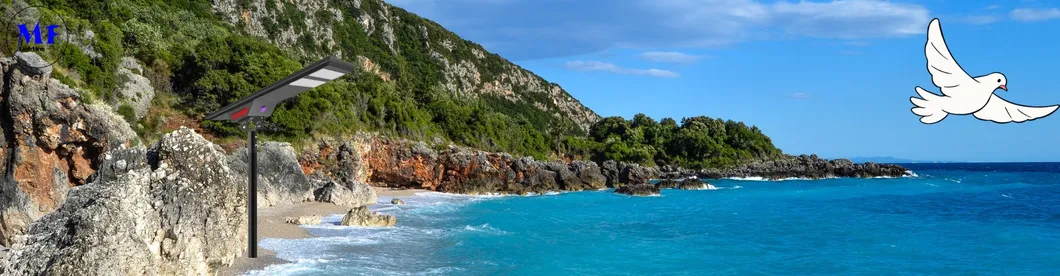 Solar Street Light Overview