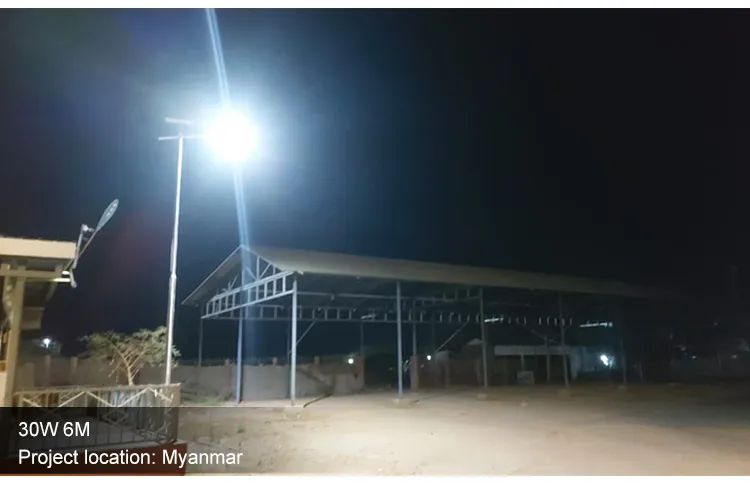 Solar Street Light 11