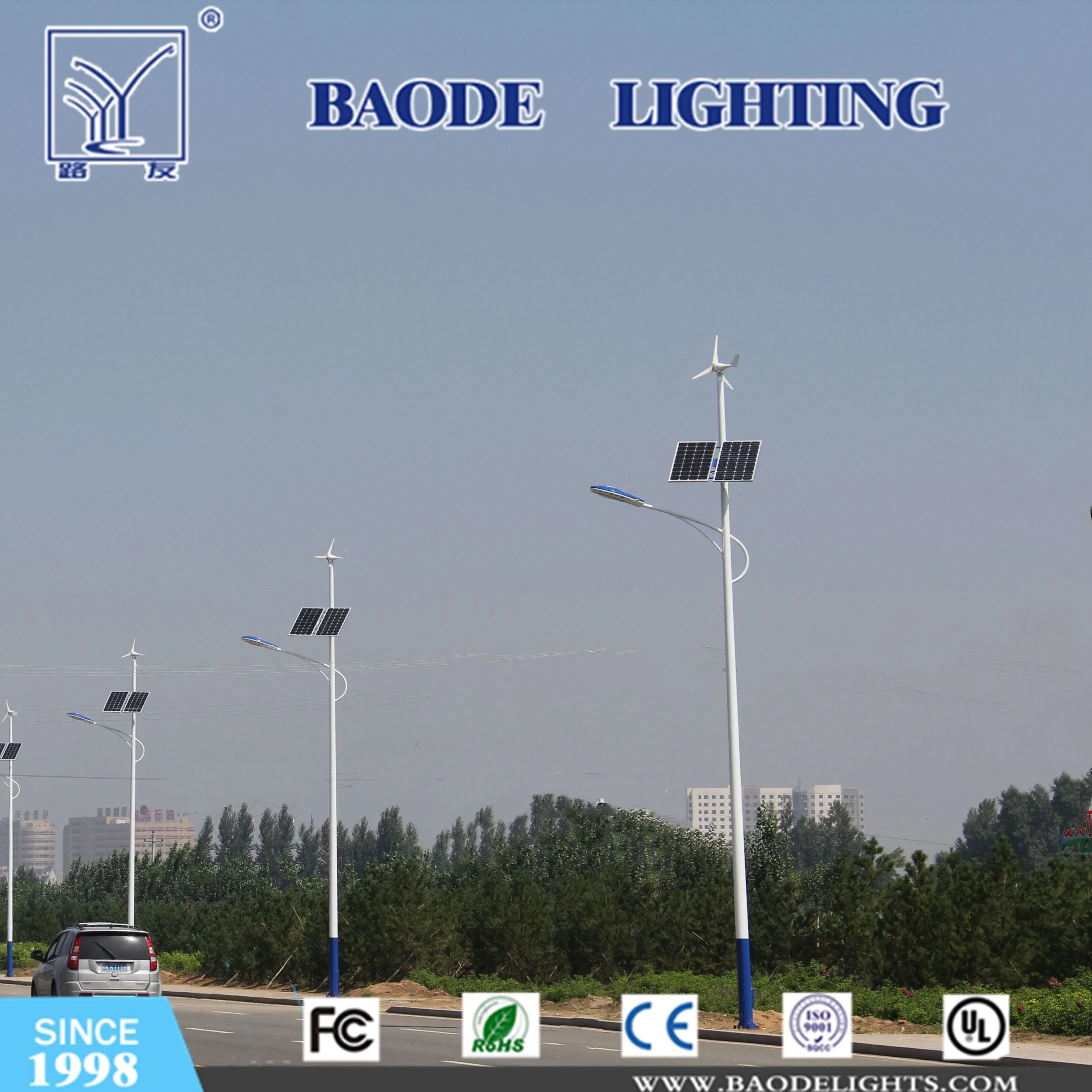 IP65 Outdoor Wind Solar LED Street Lamp/Lighting System