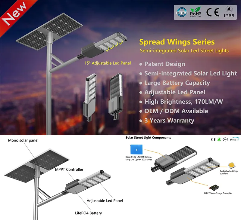 Solar Street Light