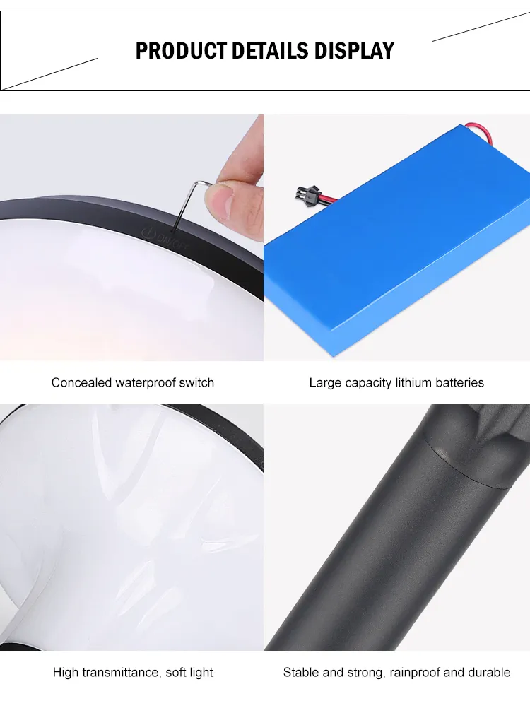 Solar Lawn Light details 1