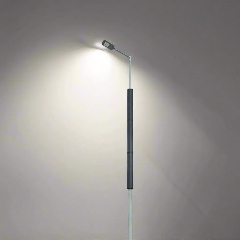 60W High Lumen Vertical Solar Tube Solar Pole Street Light for Dusty Roads