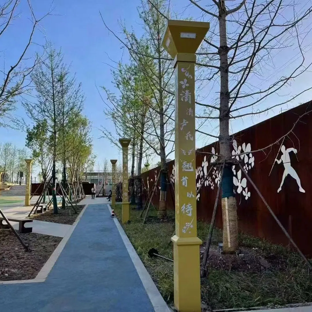 Split Type Solar Street Light Outdoor LED with Large Capacity Storage Battery