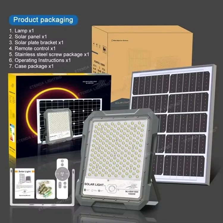 CCTV Lighting Camera