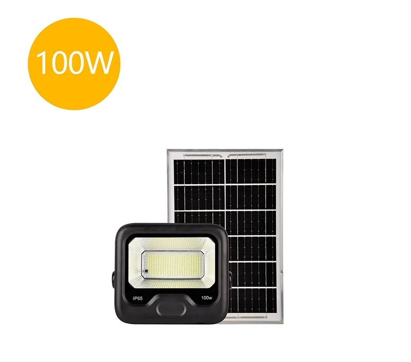 Solar Flood Light 5