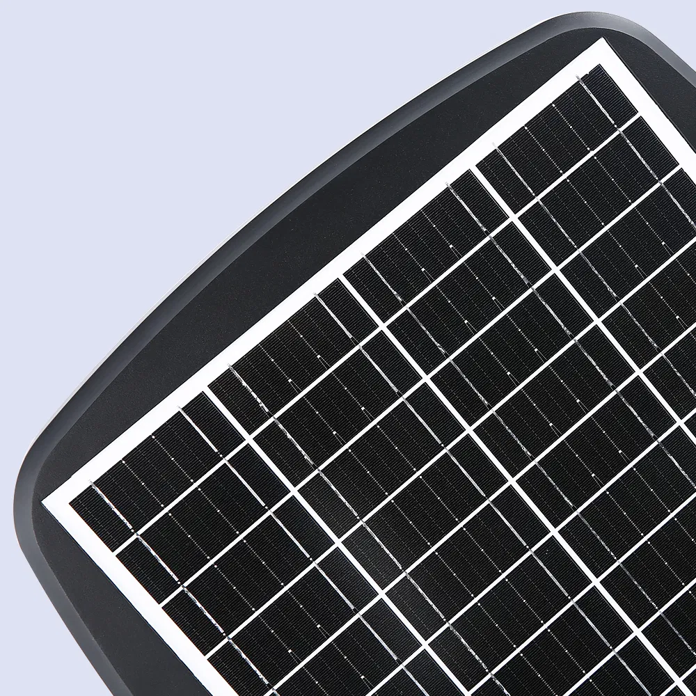 Solar Light Detail 1