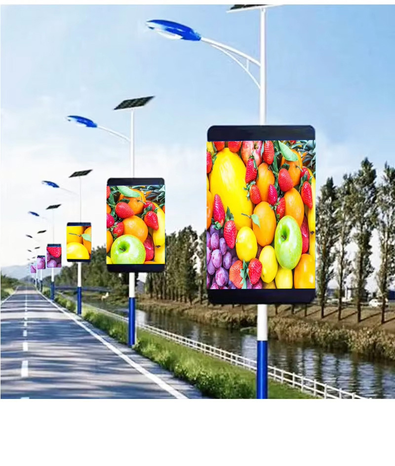 Premium Solar Street Light with Integrated Security Camera System