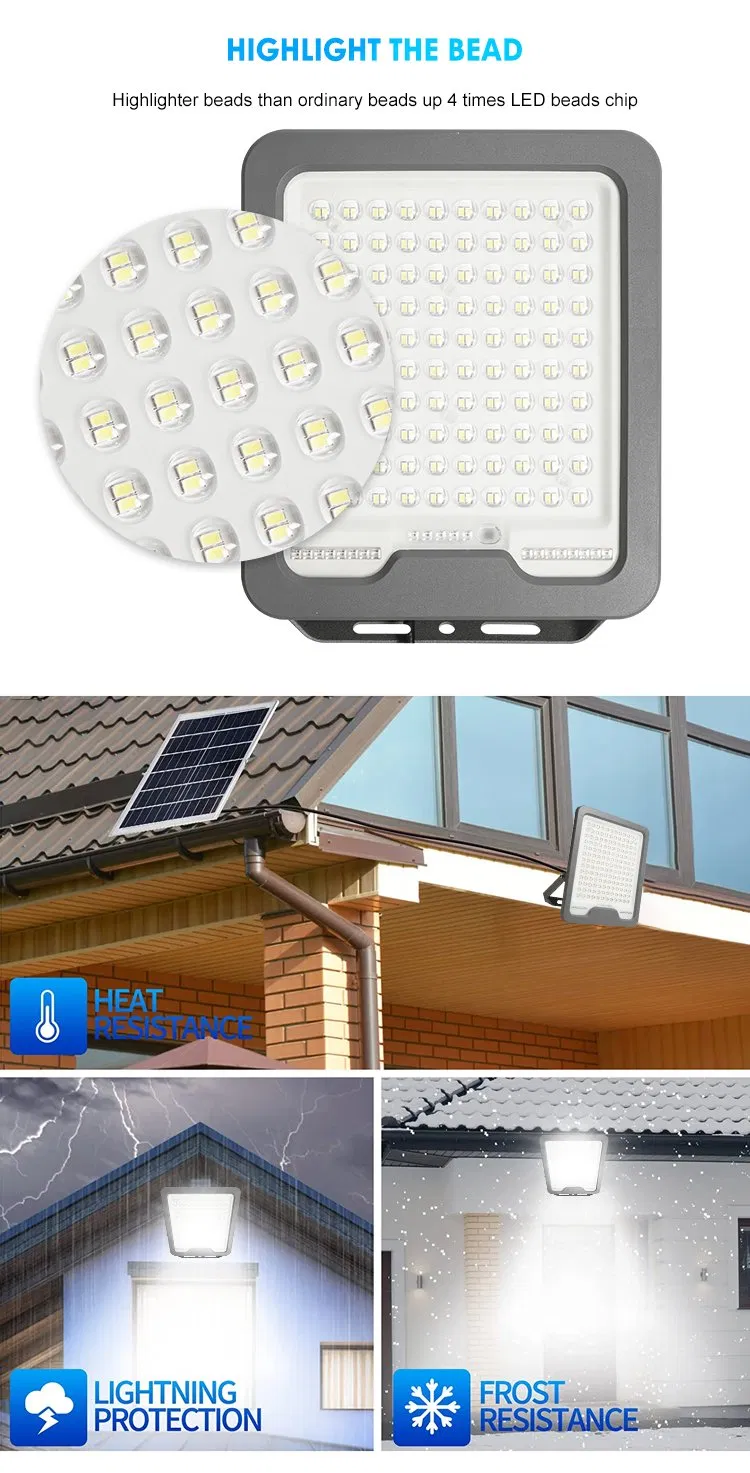 Security Flood Light