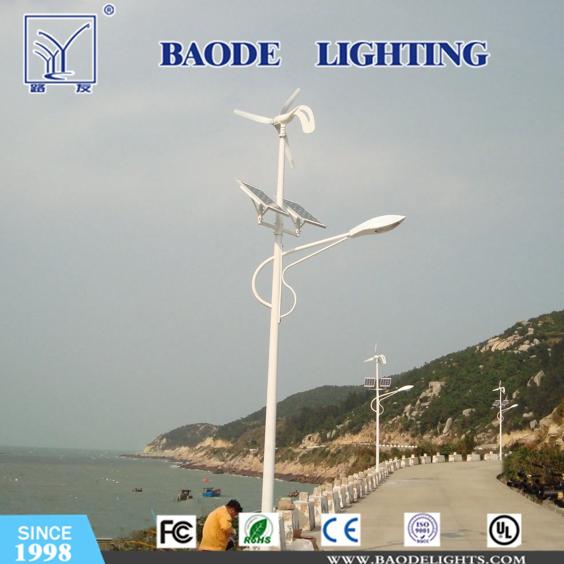 IP65 Outdoor Wind Solar LED Street Lamp/Lighting System