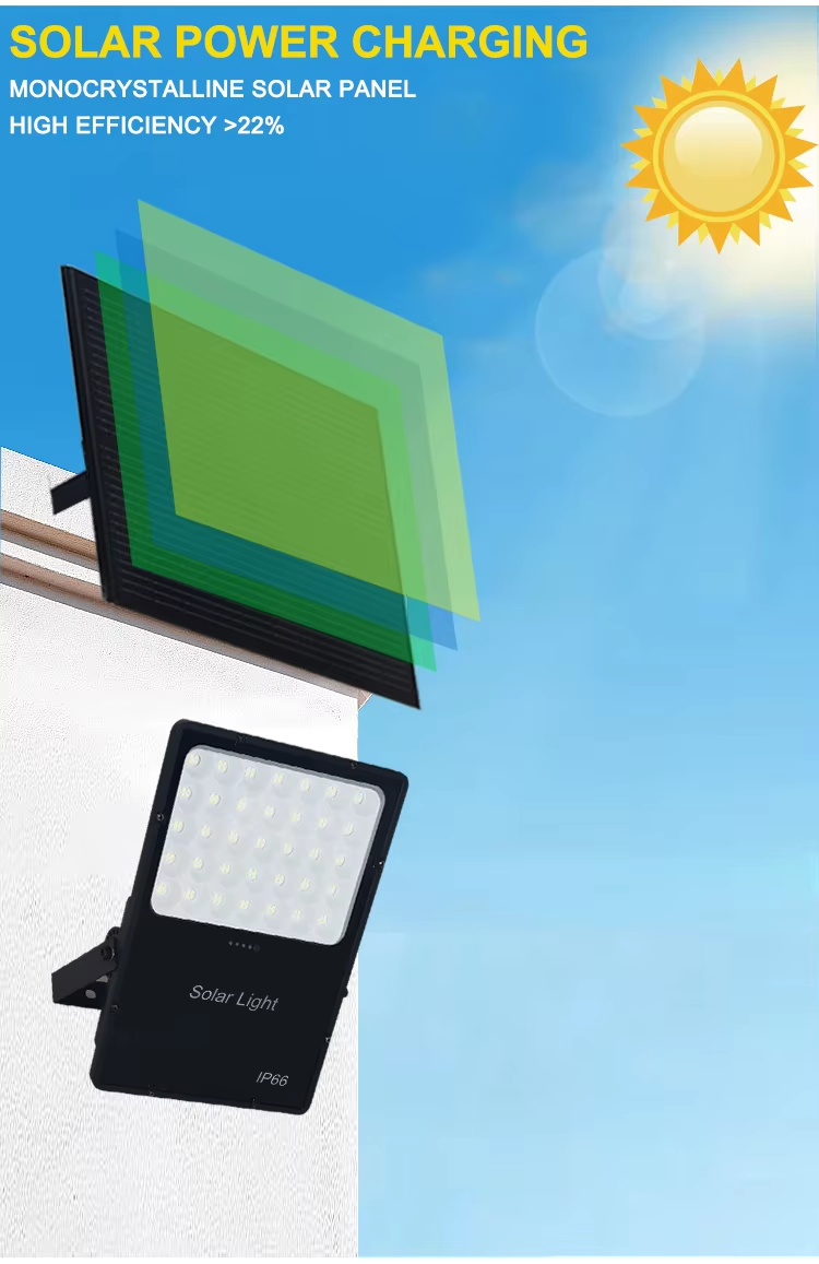 Solar Flood Light Detail