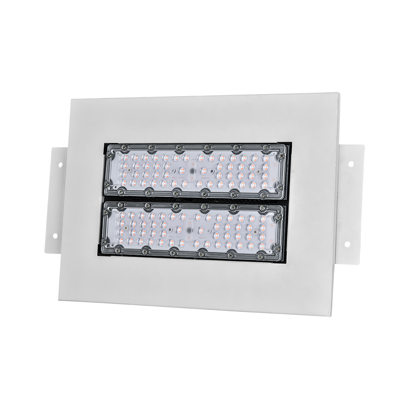 100W/150W/200W IP65 Outdoor Aluminum Gas Station Ceiling Recessed Surface Mounted LED Canopy Light
