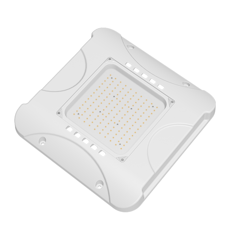 LED Canopy Light 2