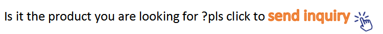 Send Inquiry Action