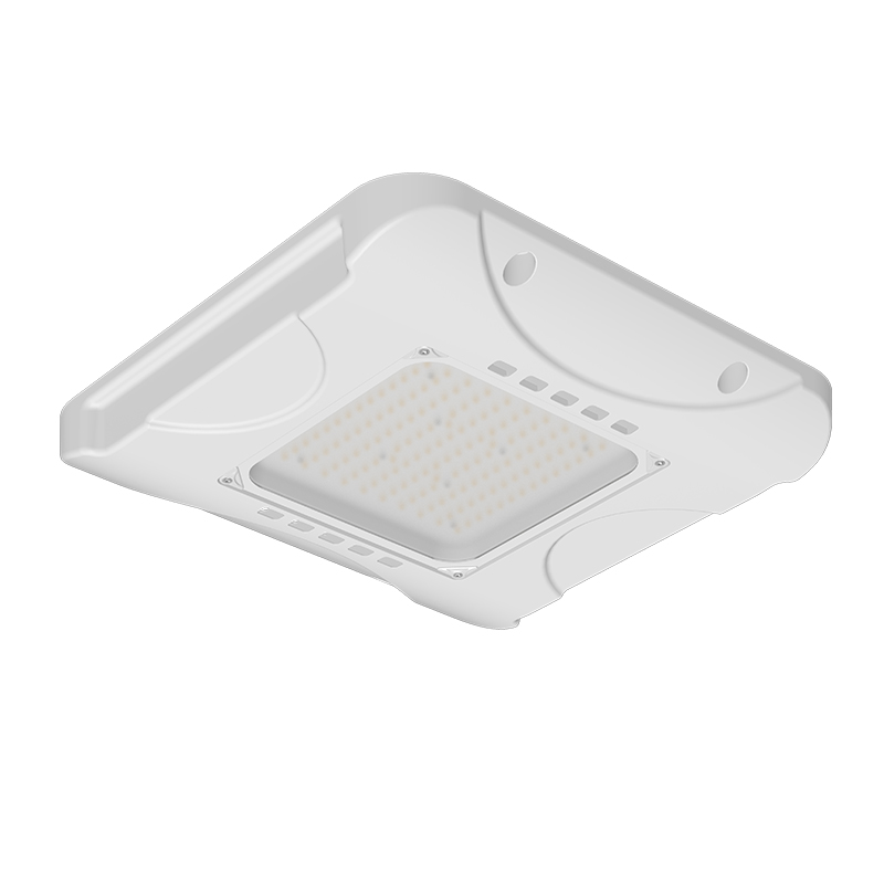 LED Canopy Light 6