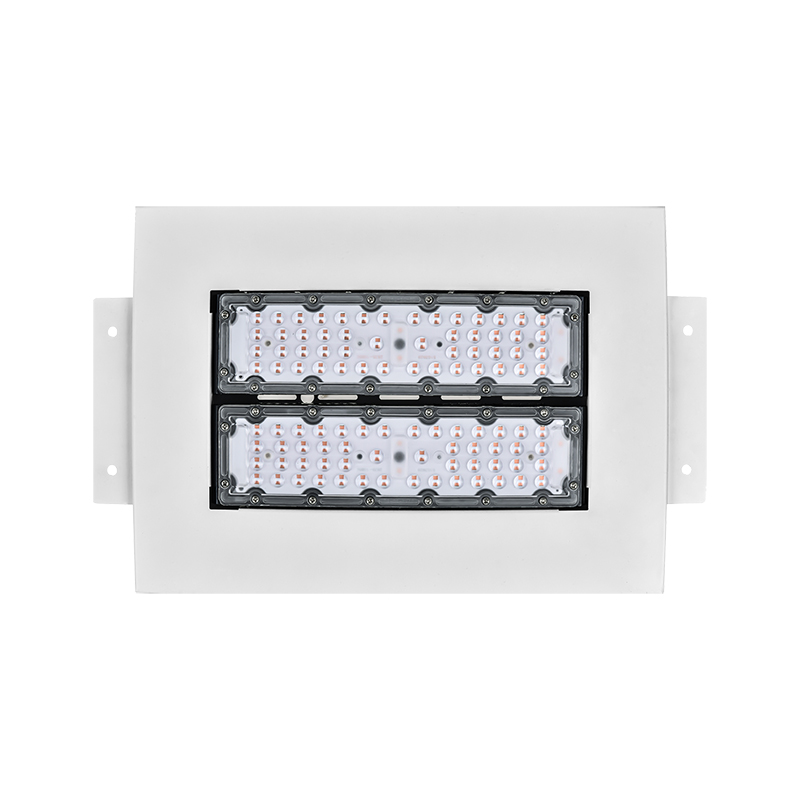 100W/150W/200W IP65 Outdoor Aluminum Gas Station Ceiling Recessed Surface Mounted LED Canopy Light