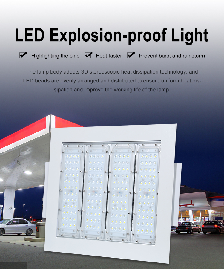 LED Canopy Light 1