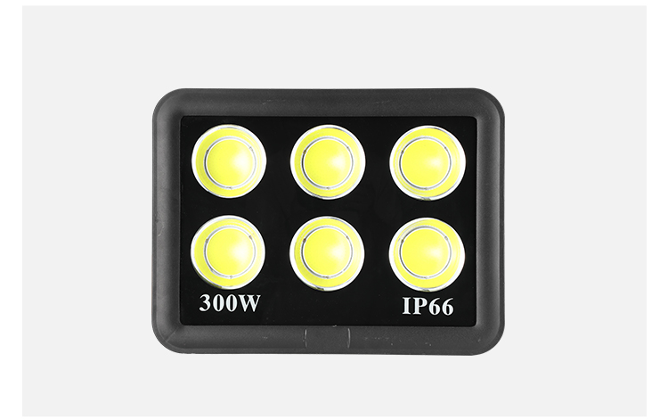 Solar Flood Light 2