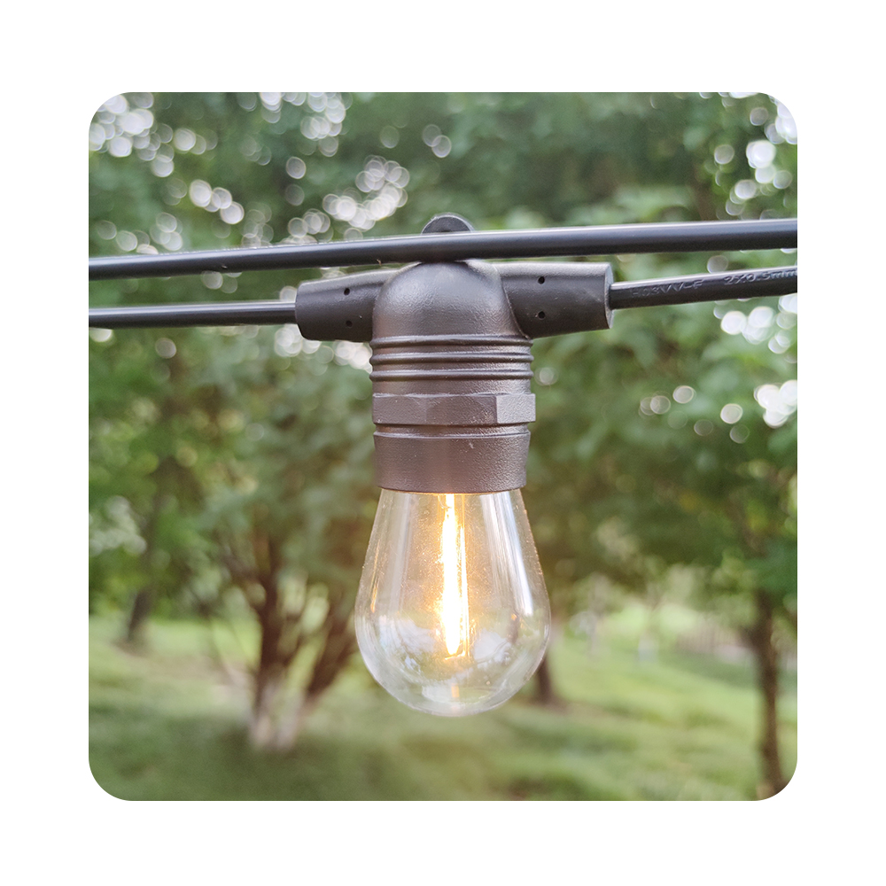 Product View 1