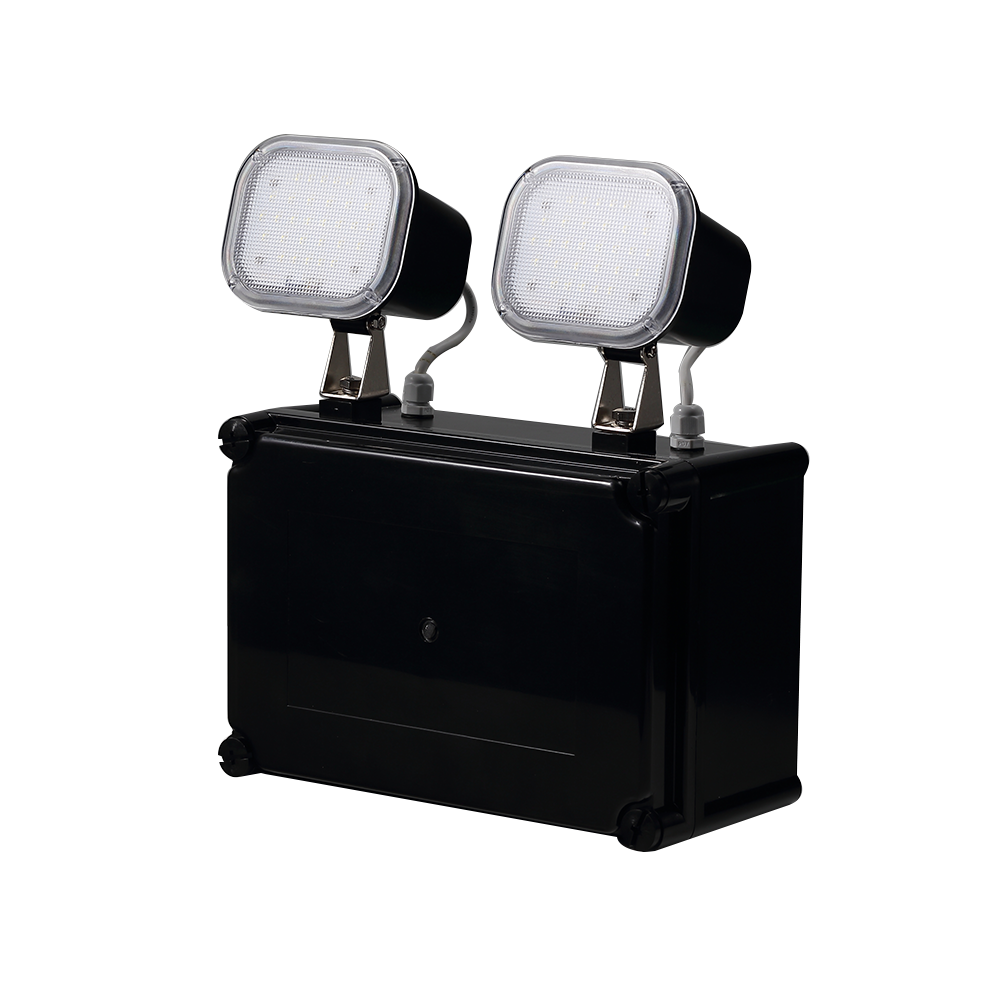 IP65 Waterproof Rechargeable Plastic Cold White Twin Spots Emergency Light With 2*30PCS 2835 SMD LED