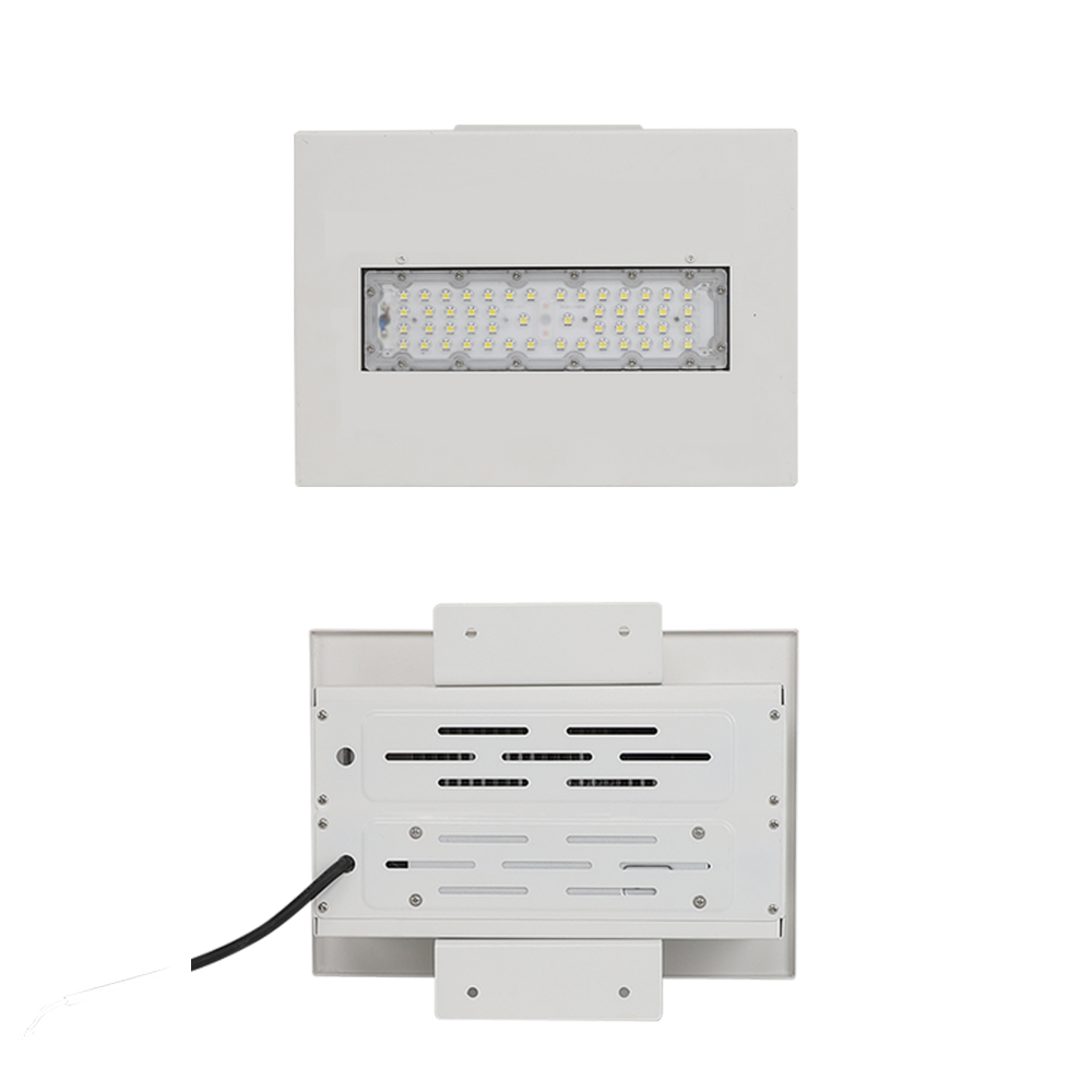 100W LED Explosion-Proof Canopy Light for Toll Station Oil Lamp with Emergency Feature IP65 Rating for Warehouse &amp; Office Use