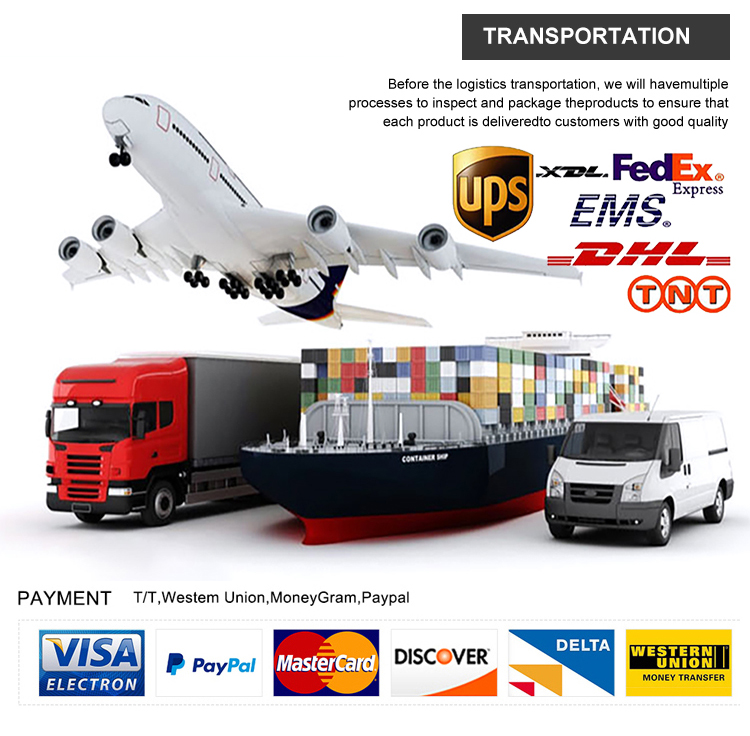 Shipping Logistics