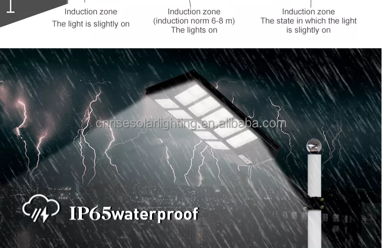All in One Solar Street Light Controller