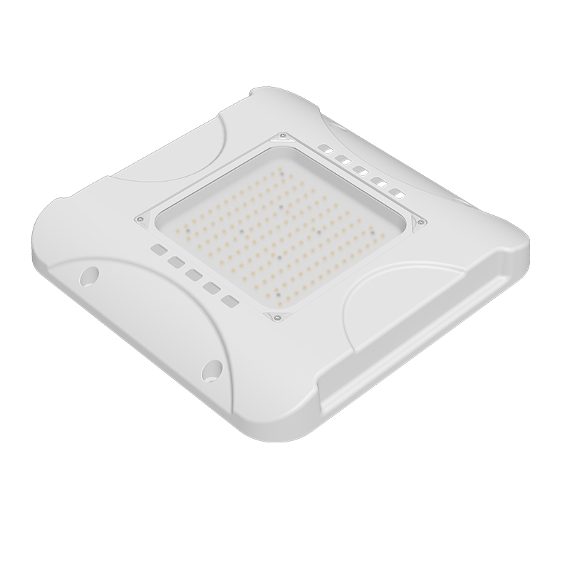 LED Canopy Light 3